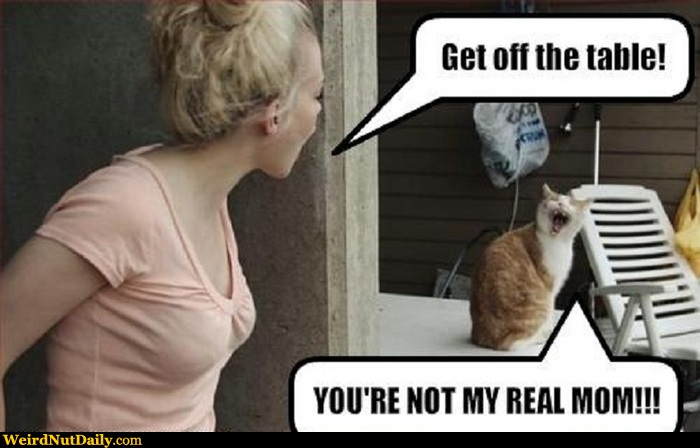 Funny Pictures @ WeirdNutDaily - You're not my real mom!!!